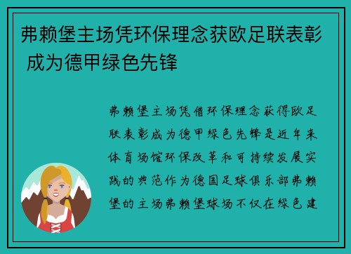 弗赖堡主场凭环保理念获欧足联表彰 成为德甲绿色先锋